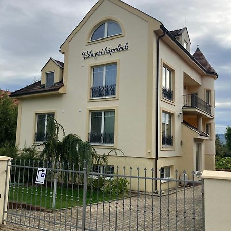 Vila Pri Kupeloch Bajmóc Kültér fotó
